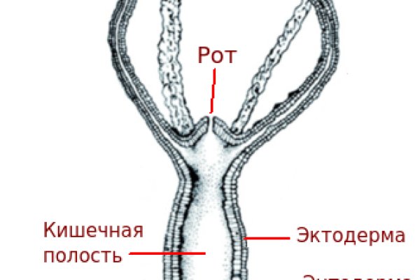 Ссылка на мегу