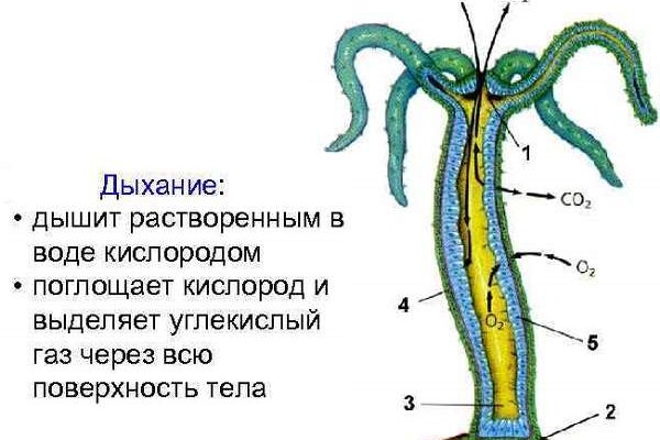 Гидра сайт мега