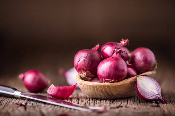 Mega актуальная ссылка onion